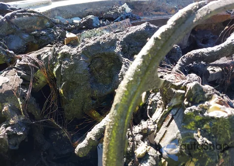 2008 Chevrolet Silverado 1500 Lt1 z USA, uszkodzony, nr VIN 2GCEK190181197155